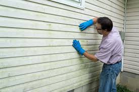 Best Vinyl Siding Installation  in Braidwood, IL